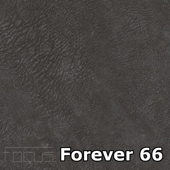 forever 66