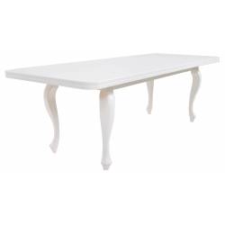 Stół S-13 biały 100x200/300